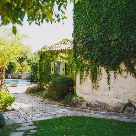 Arbalovija Rustic * Sivati