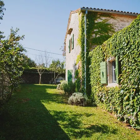 Arbalovija Rustic * Sivati