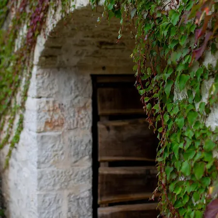 Villa Arbalovija Rustic *
