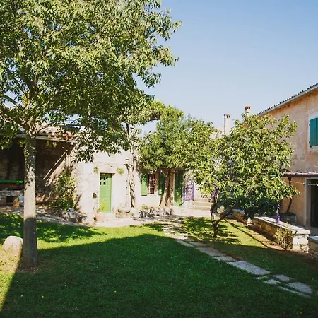 Arbalovija Rustic Sivati