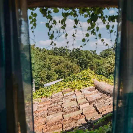 Villa Arbalovija Rustic *