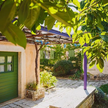 Arbalovija Rustic Sivati