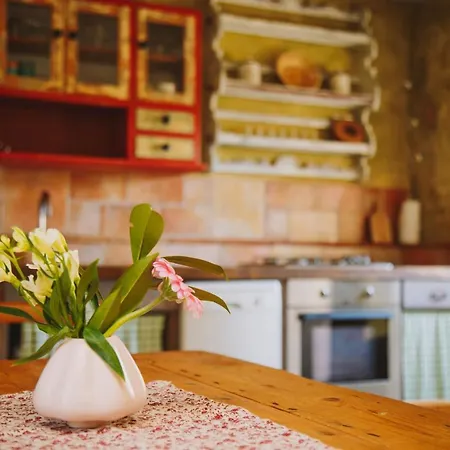 Arbalovija Rustic Sivati