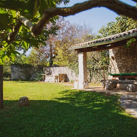 Arbalovija Rustic *