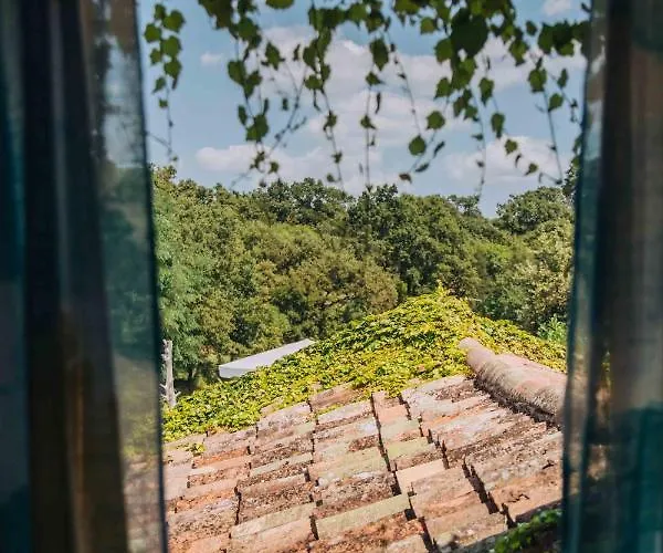 Villa Arbalovija Rustic *